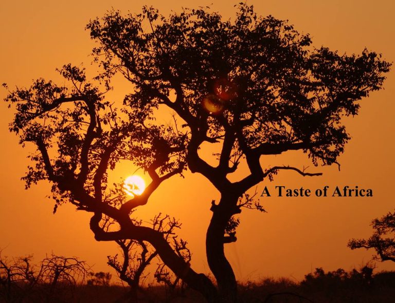 A taste of Africa