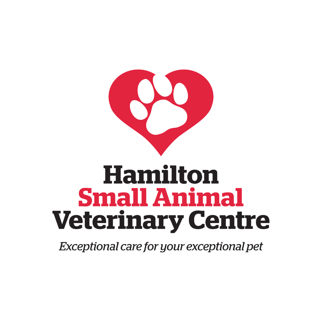 Hamilton Small Animal Veterinary Centre AfriForum Wêreldwyd Wêreldgids