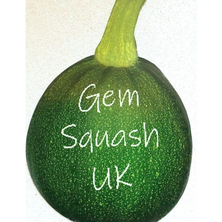 Gem Squash UK